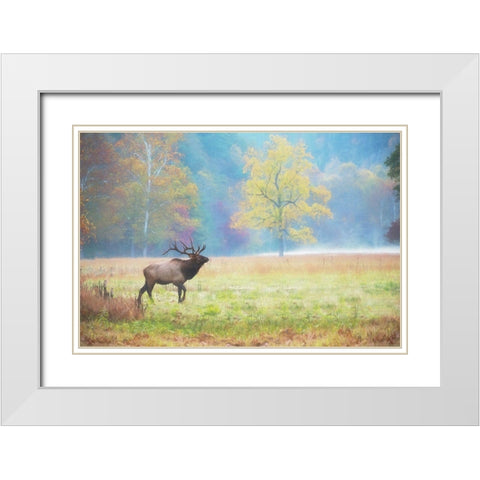 View At Rest IV White Modern Wood Framed Art Print with Double Matting by PHBurchett