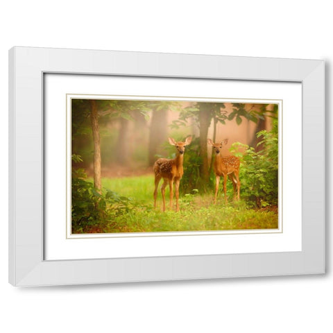 View At Rest V White Modern Wood Framed Art Print with Double Matting by PHBurchett