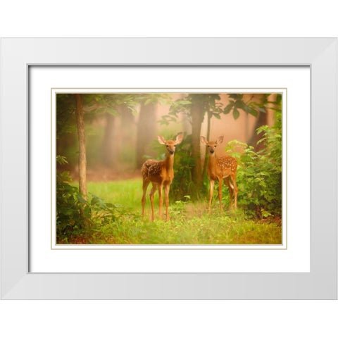 View At Rest V White Modern Wood Framed Art Print with Double Matting by PHBurchett