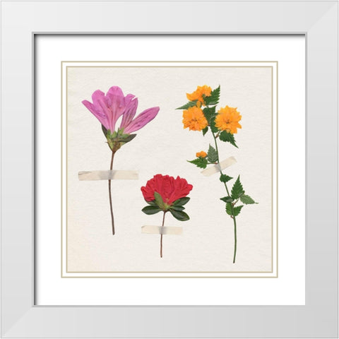 Backyard Variety I White Modern Wood Framed Art Print with Double Matting by Warren, Annie