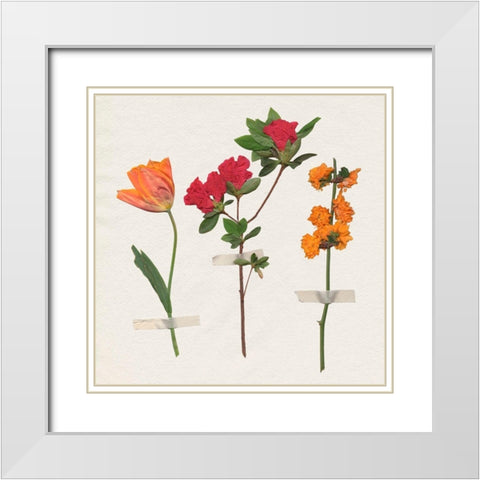 Backyard Variety II White Modern Wood Framed Art Print with Double Matting by Warren, Annie