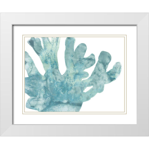 Blue Macro Coral I White Modern Wood Framed Art Print with Double Matting by Vess, June Erica