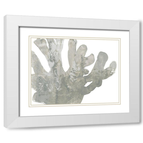 Stone Macro Coral I White Modern Wood Framed Art Print with Double Matting by Vess, June Erica
