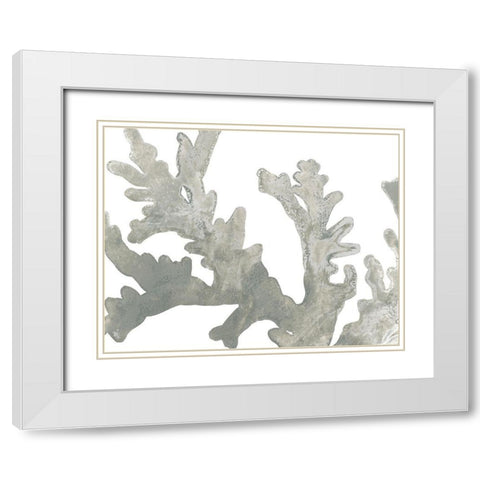 Stone Macro Coral II White Modern Wood Framed Art Print with Double Matting by Vess, June Erica