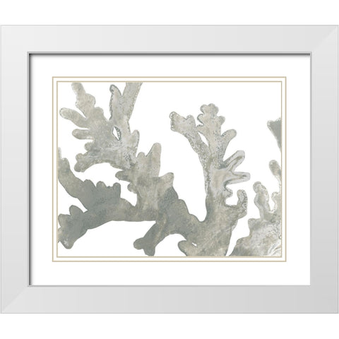 Stone Macro Coral II White Modern Wood Framed Art Print with Double Matting by Vess, June Erica
