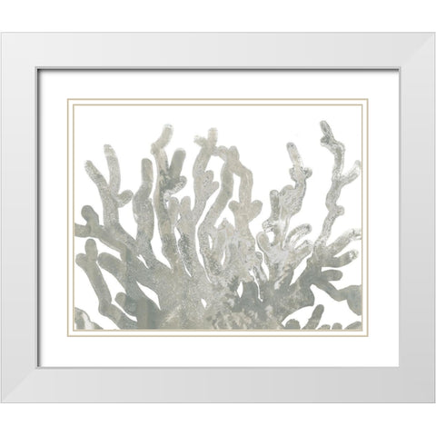 Stone Macro Coral III White Modern Wood Framed Art Print with Double Matting by Vess, June Erica