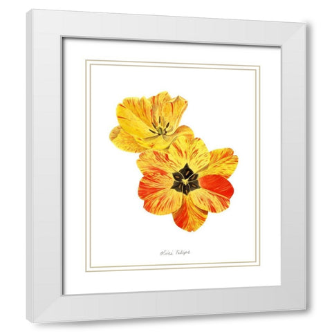 Olives Tulips I White Modern Wood Framed Art Print with Double Matting by Popp, Grace