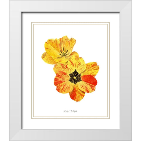 Olives Tulips I White Modern Wood Framed Art Print with Double Matting by Popp, Grace