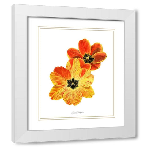 Olives Tulips II White Modern Wood Framed Art Print with Double Matting by Popp, Grace