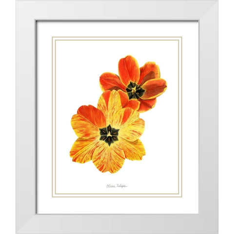 Olives Tulips II White Modern Wood Framed Art Print with Double Matting by Popp, Grace