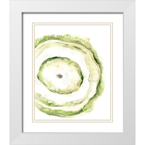 Lichen Halo III White Modern Wood Framed Art Print with Double Matting by Vess, June Erica