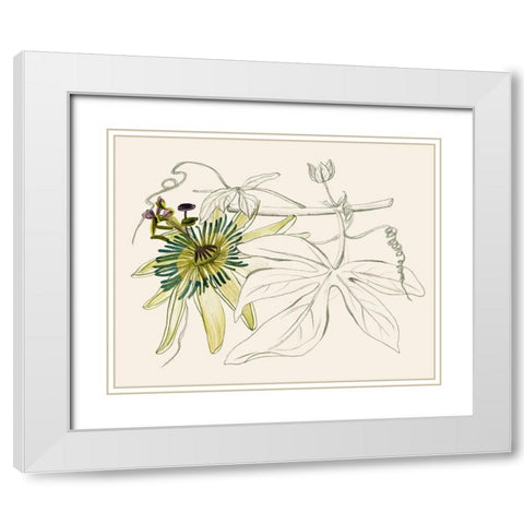 Passionflower I White Modern Wood Framed Art Print with Double Matting by Wang, Melissa