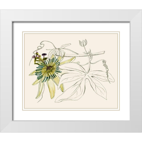 Passionflower I White Modern Wood Framed Art Print with Double Matting by Wang, Melissa