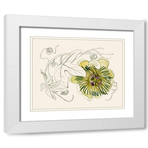 Passionflower II White Modern Wood Framed Art Print with Double Matting by Wang, Melissa