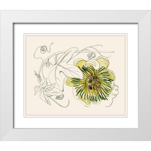 Passionflower II White Modern Wood Framed Art Print with Double Matting by Wang, Melissa