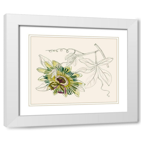 Passionflower III White Modern Wood Framed Art Print with Double Matting by Wang, Melissa