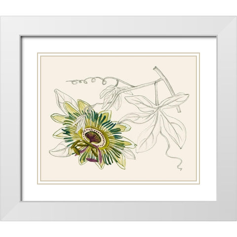 Passionflower III White Modern Wood Framed Art Print with Double Matting by Wang, Melissa