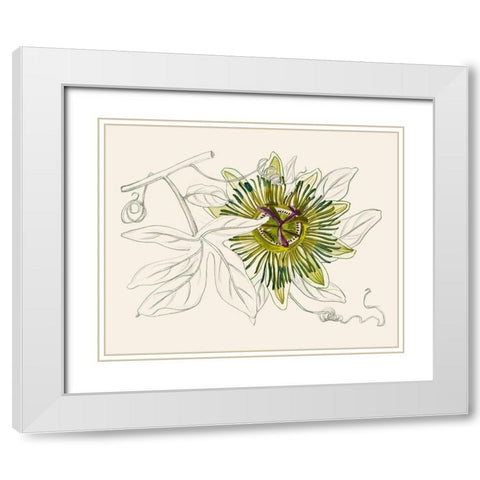 Passionflower IV White Modern Wood Framed Art Print with Double Matting by Wang, Melissa