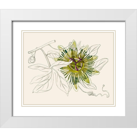 Passionflower IV White Modern Wood Framed Art Print with Double Matting by Wang, Melissa