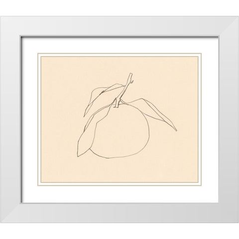 Citrus Contour I White Modern Wood Framed Art Print with Double Matting by Barnes, Victoria