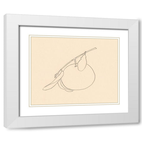 Citrus Contour II White Modern Wood Framed Art Print with Double Matting by Barnes, Victoria