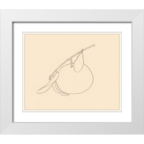 Citrus Contour II White Modern Wood Framed Art Print with Double Matting by Barnes, Victoria