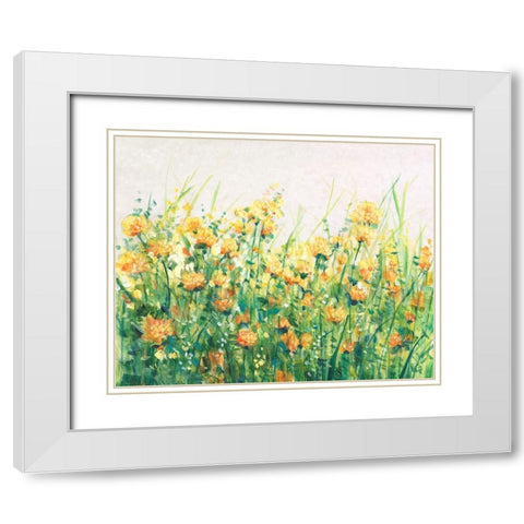 Garden in Bloom IV White Modern Wood Framed Art Print with Double Matting by OToole, Tim