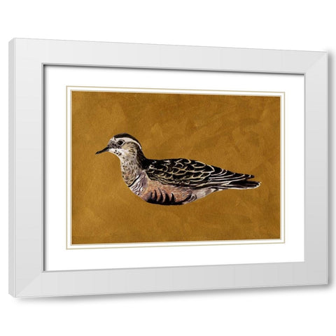 Feathered Friend I White Modern Wood Framed Art Print with Double Matting by Wang, Melissa