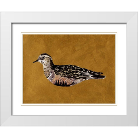 Feathered Friend I White Modern Wood Framed Art Print with Double Matting by Wang, Melissa