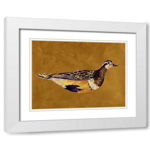 Feathered Friend II White Modern Wood Framed Art Print with Double Matting by Wang, Melissa