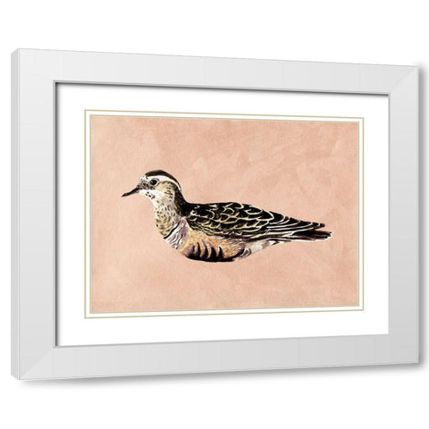 Feathered Friend III White Modern Wood Framed Art Print with Double Matting by Wang, Melissa