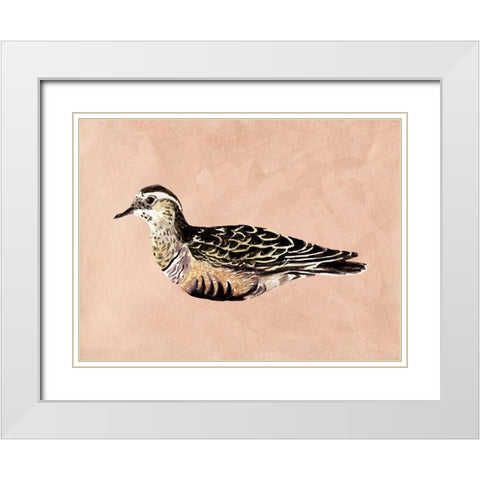 Feathered Friend III White Modern Wood Framed Art Print with Double Matting by Wang, Melissa