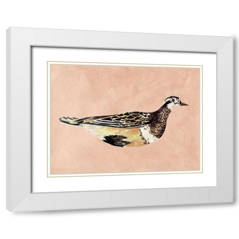 Feathered Friend IV White Modern Wood Framed Art Print with Double Matting by Wang, Melissa