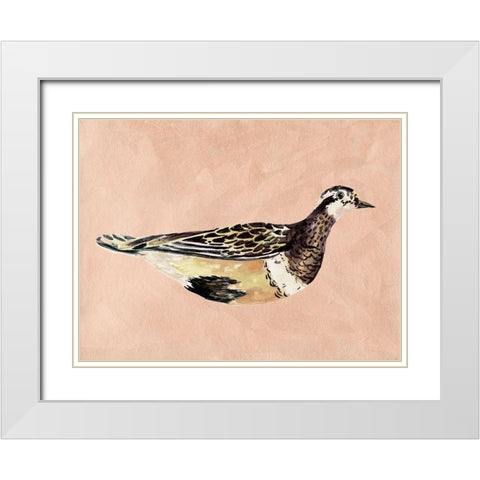 Feathered Friend IV White Modern Wood Framed Art Print with Double Matting by Wang, Melissa