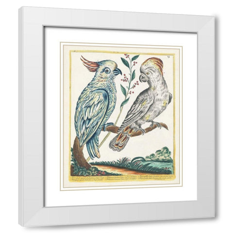 Pastel Birds I White Modern Wood Framed Art Print with Double Matting by Unknown