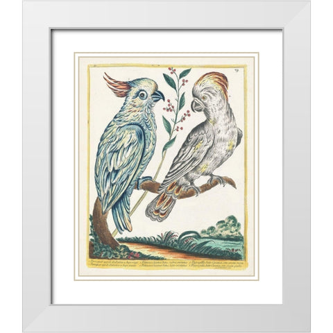 Pastel Birds I White Modern Wood Framed Art Print with Double Matting by Unknown