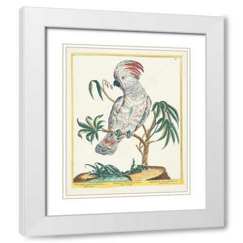 Pastel Birds II White Modern Wood Framed Art Print with Double Matting by Unknown