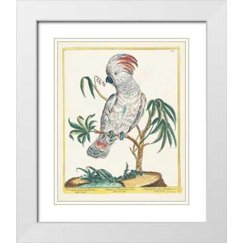 Pastel Birds II White Modern Wood Framed Art Print with Double Matting by Unknown