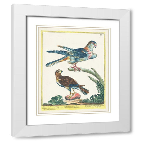 Pastel Birds III White Modern Wood Framed Art Print with Double Matting by Unknown