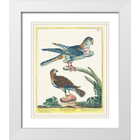 Pastel Birds III White Modern Wood Framed Art Print with Double Matting by Unknown