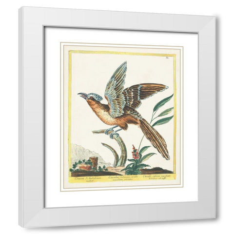 Pastel Birds IV White Modern Wood Framed Art Print with Double Matting by Unknown