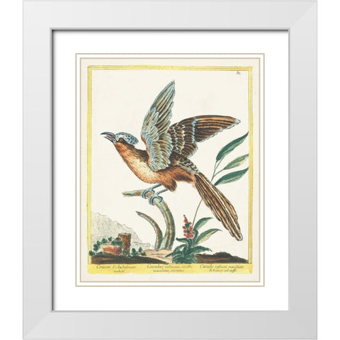 Pastel Birds IV White Modern Wood Framed Art Print with Double Matting by Unknown