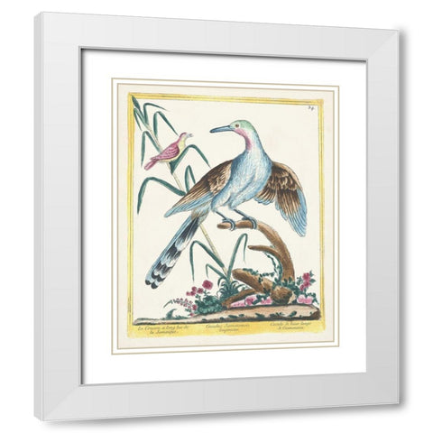 Pastel Birds V White Modern Wood Framed Art Print with Double Matting by Unknown