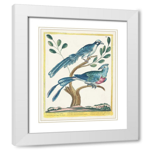 Pastel Birds VI White Modern Wood Framed Art Print with Double Matting by Unknown
