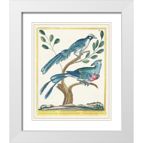 Pastel Birds VI White Modern Wood Framed Art Print with Double Matting by Unknown