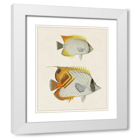 Yellow And Grey Fish I White Modern Wood Framed Art Print with Double Matting by Unknown