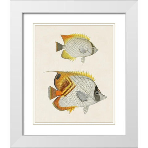 Yellow And Grey Fish I White Modern Wood Framed Art Print with Double Matting by Unknown