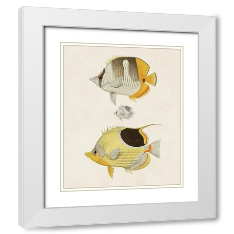 Yellow And Grey Fish II White Modern Wood Framed Art Print with Double Matting by Unknown