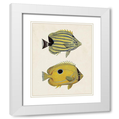 Yellow And Grey Fish III White Modern Wood Framed Art Print with Double Matting by Unknown