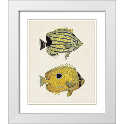 Yellow And Grey Fish III White Modern Wood Framed Art Print with Double Matting by Unknown